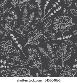 Herbs seamless pattern. Herbal botanical outline sketch. White line on a black background.  Hand drawn image.