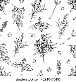 Herbs seamless pattern natural essences seamless background