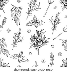Herbs seamless pattern natural essences seamless background