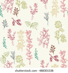 Herbs seamless patterns hand drawn ink vector Botanical design with herbal tea ingredients 