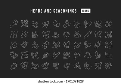 Herbs and Seasonings. Collection of perfectly thin icons for web design, app, and the most modern projects. The kit of signs for category Food and Drink.