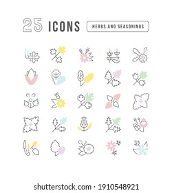 Herbs and Seasonings. Collection of perfectly thin icons for web design, app, and the most modern projects. The kit of signs for category Food and Drink.