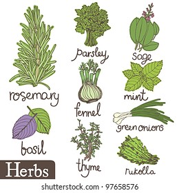 Herbs set