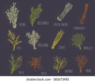 herbs set on dark background