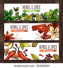 Herbs And Spice. Collection Of Banners