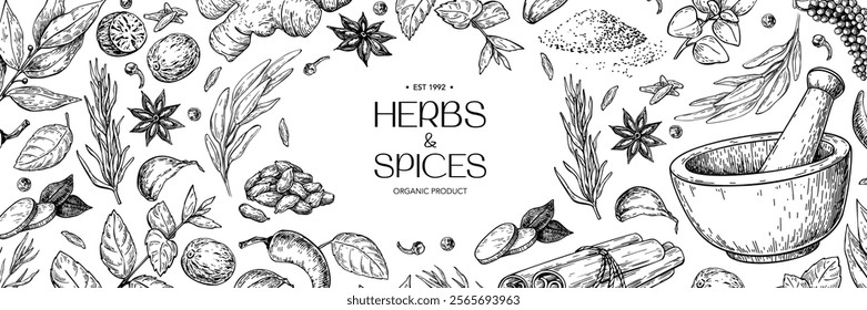 Herbs and spice label template. Vector banner drawing with mortar and pestle. Engraved style flavor and condiments, Botanical vintage food sketches. Organic, eco plants, seeds and vegetables.