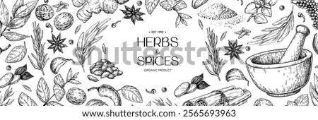 Herbs and spice label template. Vector banner drawing with mortar and pestle. Engraved style flavor and condiments, Botanical vintage food sketches. Organic, eco plants, seeds and vegetables.