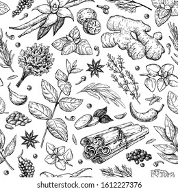 Herbs and spice seamless pattern. Vector drawing background. Engraved style flavor and condiments, Botanical vintage food sketches. Organic, eco plants, seeds and vegetables.