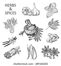 herbs and spices