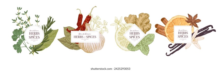 Herbs and spices arranged in groups. Hand drawn illustrations, frame  templates