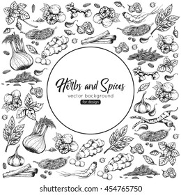 Herbs and spices background. Botanical illustrations. Vector eps 10 format.