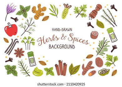 Herbs and spices background. Food ingredients for cooking illustration. Isolated colorful hand-drawn icons on white background. Vector illustration.