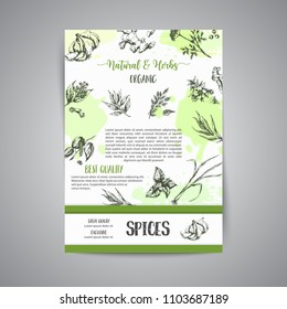 Herbs and spices background. Herb, plant, spice hand drawn set. Organic garden herbs engraving. Botanical sketches. Garlic, ginger, cloves and onion vector