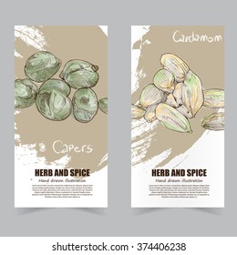 herbs and spices banners vector.