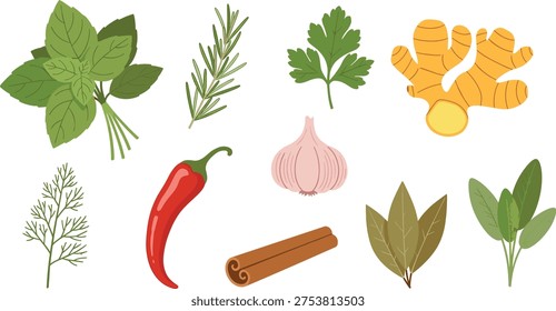 Herbs and Spices Botanical Vector Collection Basil Rosemary Parsley Ginger Garlic Chili Cinnamon Dill Sage Fresh Natural Ingredients