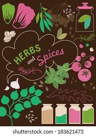 herbs and spices card design. vector illustration