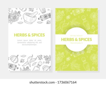 Herbs and Spices Card Templates Set with Natural Organic Healthy Products Seamless Pattern, Label, Flyer, Certificate, Hand Drawn Vector Illustration