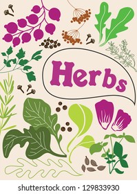 herbs and spices card. vector illustration