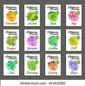 Herbs and spices cards set. Hand drawn medicinal, cosmetic plants collection. Engraving botanical illustrations tags. Vector healing wild flowers sketches for labels.