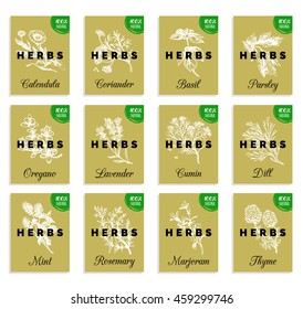 Herbs and spices cards set. Hand drawn medicinal, cosmetic plants labels. Healing wild flowers tags. 