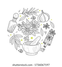 Hierbas y especias de forma circular, productos ecológicos naturales Plantilla de pancarta de la mano Dibujo Vector Ilustración