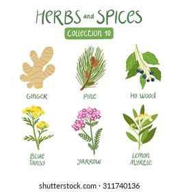 Herbs and spices collection 10. For essential oils, ayurvedic medicine