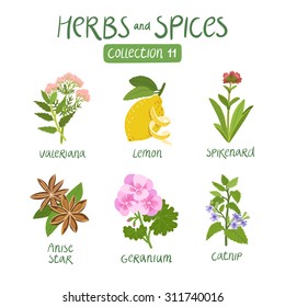 Herbs and spices collection 11. For essential oils, ayurvedic medicine