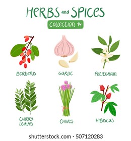 Herbs and spices collection 14. For food preparation, essential oils, ayurvedic medicine
