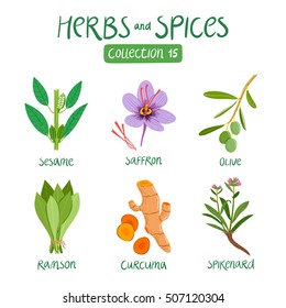 Herbs And Spices Collection 15. For Food Preparation, Essential Oils, Ayurvedic Medicine
