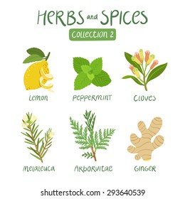 Herbs and spices collection 2. For essential oils, ayurvedic medicine