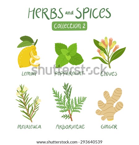 Herbs and spices collection 2. For essential oils, ayurvedic medicine