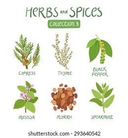 Herbs and spices collection 3. For essential oils, ayurvedic medicine