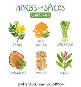Herbs and spices collection 5. For essential oils, ayurvedic medicine