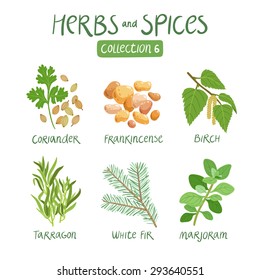 Herbs and spices collection 6. For essential oils, ayurvedic medicine