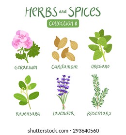 Herbs and spices collection 8. For essential oils, ayurvedic medicine