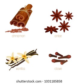 Herbs and spices collection: anise, cinnamon, desert spice vanilla and clove.