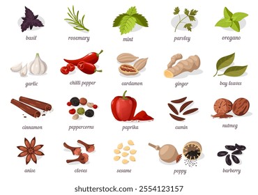 Herbs and spices collection. Basil, garlic and chili, cinnamon and more ingredients for cooking food. Fresh leaves and dried seeds. Flat vector illustration.