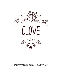 Herbs and Spices Collection - Clove. Handdrawn Vignette. Suitable for ads, signboards, packaging and identity designs