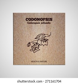 Herbs and Spices Collection - Codonopsis.  Hand-sketched herbal element on cardboard background. Suitable for ads, signboards, packaging and identity designs