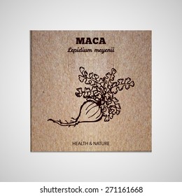 Herbs and Spices Collection - Maca.  Hand-sketched herbal element on cardboard background. Suitable for ads, signboards, packaging and identity designs