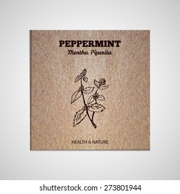 Herbs and Spices Collection - Peppermint.  Hand-sketched herbal element on cardboard background. Suitable for ads, signboards, packaging and identity designs