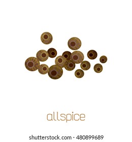 Herbs and spices collection with signed names: allspice.