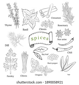 Herbs and spices collection. Vector Collection of hand drawn Spices and Herbs. Botanical plant illustration. Vintage Medicinal Herbs and plants. 