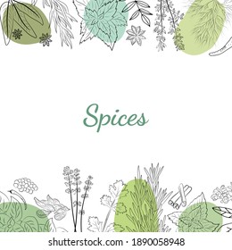 Herbs and spices collection. Vector Collection of hand drawn Spices and Herbs. Botanical plant illustration. Vintage Medicinal Herbs and plants. 