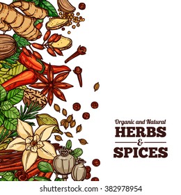 Herbs And Spices Color Background