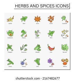 Herbs and spices color icons set. Different types of seasoning. Hot-tasting condiment.Food preparation concept. Isolated vector illustrations