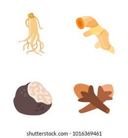 Herbs & Spices color vector icons