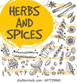 Herbs and spices concept design. Retro card. Hand drawn vector illustration. Vanilla, pepper, ginger and other. Can be used for menu, shop, farmers market, cafe, bar, poster, banner, sticker, placard.
