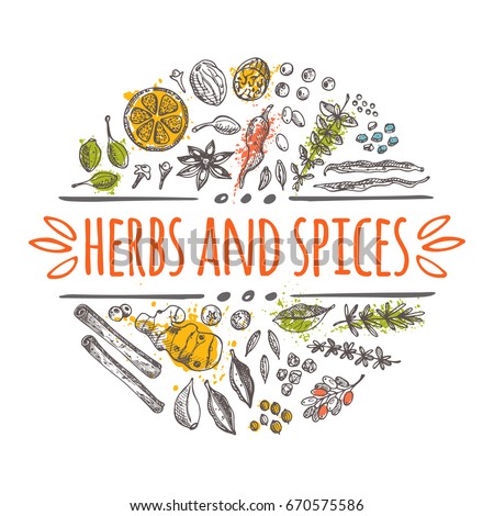 Herbs and spices concept design. Round circle composition. Hand drawn vector illustration. Can be used for festival, menu, cafe, restaurant, bar, poster, banner, emblem, sticker, placard.