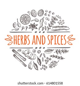 Herbs and spices concept. Hand drawn vector illustration. Round circle composition. Cinnamon, pepper, cardamon, ginger, basil, capers, thyme, oregano, barberry, juniper, saffron, coriander, bay leaf.